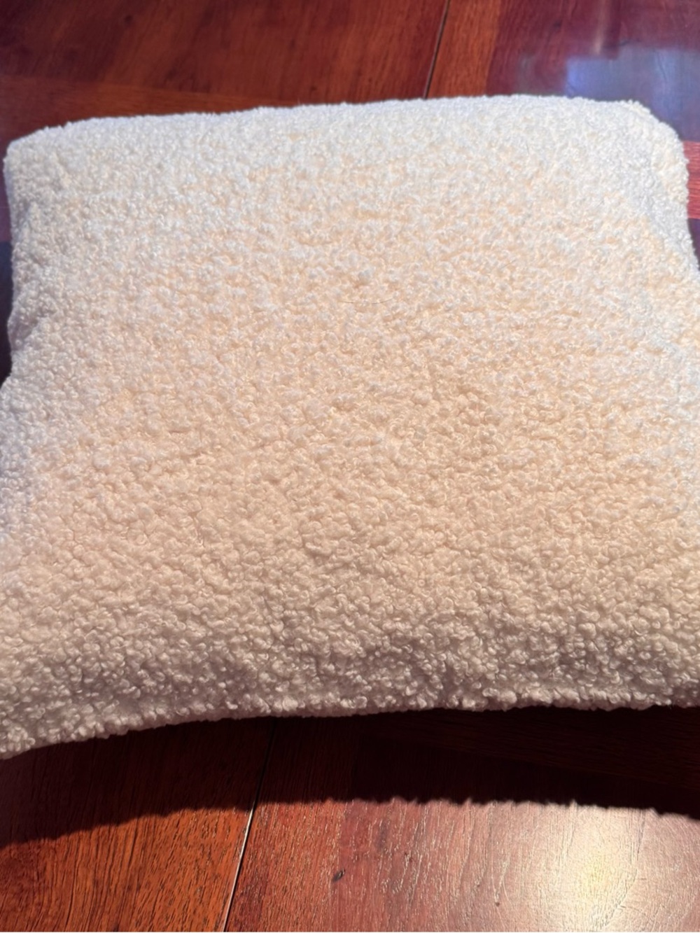 Pottery Barn Ivory Bouclé Throw Pillow, 20” w/ Feather Insert, Textured